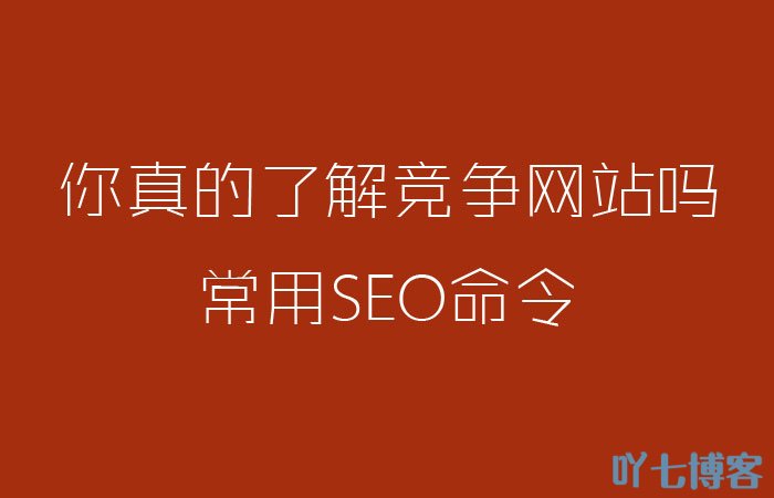 站长常用SEO查询命令使用举例说明