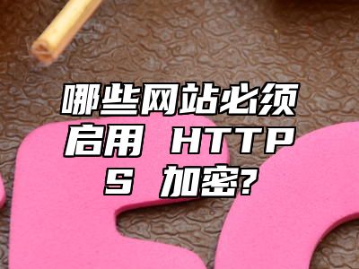 哪些网站必须启用 HTTPS 加密?