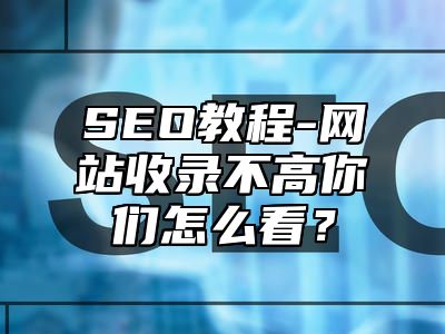 网站SEO-网站收录不高你们怎么看？_站长助手