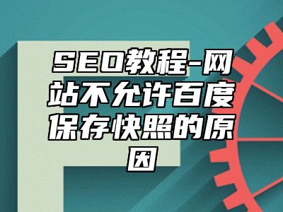 网站SEO-网站不允许百度保存快照的原因_站长助手