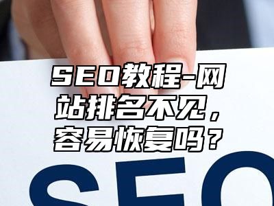 网站SEO-网站排名不见，容易恢复吗？_站长助手