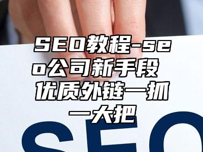 网站SEO-seo公司新手段 优质外链一抓一大把_站长助手