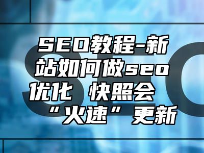 网站SEO-新站如何做seo优化 快照会“火速”更新_站长助手