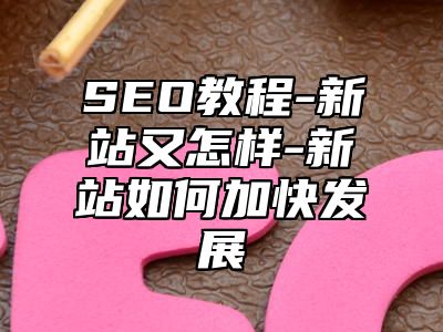 网站SEO-新站又怎样-新站如何加快发展_站长助手