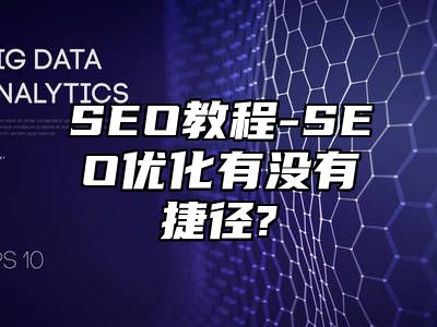 网站SEO-SEO优化有没有捷径?_站长助手