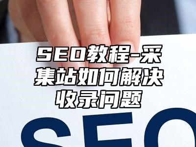 网站SEO-采集站如何解决收录问题_站长助手