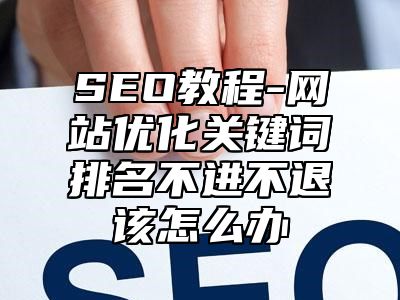 网站SEO-网站优化关键词排名不进不退该怎么办_站长助手