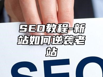 网站SEO-新站如何逆袭老站_站长助手