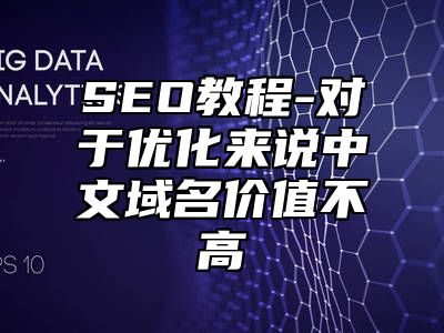 网站SEO-对于优化来说中文域名价值不高_站长助手