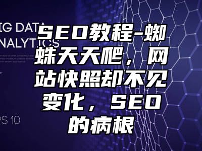 网站SEO-蜘蛛天天爬，网站快照却不见变化，SEO的病根_站长助手