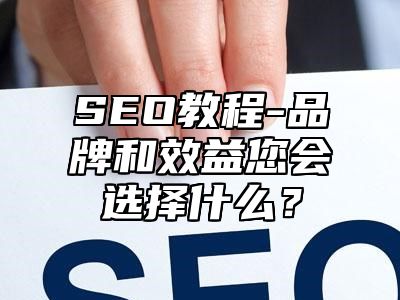 网站SEO-品牌和效益您会选择什么？_站长助手