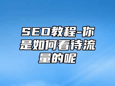 网站SEO-你是如何看待流量的呢_站长助手