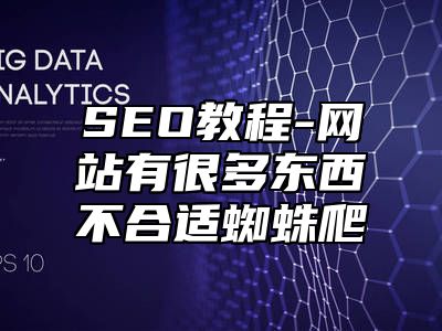 网站SEO-网站有很多东西不合适蜘蛛爬_站长助手