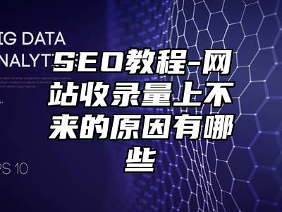 网站SEO-网站收录量上不来的原因有哪些_站长助手