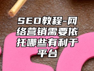 网站SEO-网络营销需要依托哪些有利于平台_站长助手