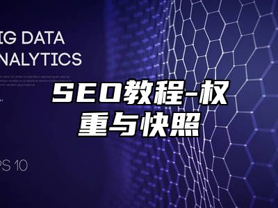 网站SEO-权重与快照_站长助手