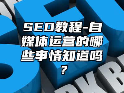 网站SEO-自媒体运营的哪些事情知道吗？_站长助手