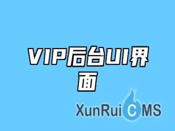 VIP后台UI界面